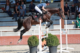 Caruso 437 (Caruso Medimade x Carpalo)